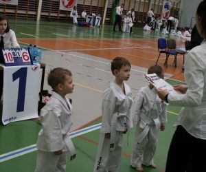 Mistrzostwa Wielkopolski Polskiej Federacji Taekwondo