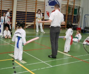 Mistrzostwa Wielkopolski Polskiej Federacji Taekwondo