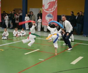 Mistrzostwa Wielkopolski Polskiej Federacji Taekwondo