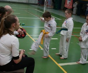 Mistrzostwa Wielkopolski Polskiej Federacji Taekwondo