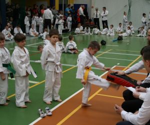 Mistrzostwa Wielkopolski Polskiej Federacji Taekwondo