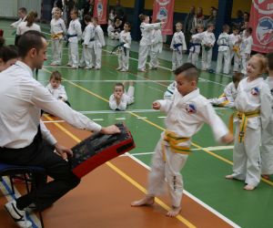 Mistrzostwa Wielkopolski Polskiej Federacji Taekwondo