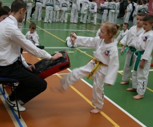 Mistrzostwa Wielkopolski Polskiej Federacji Taekwondo