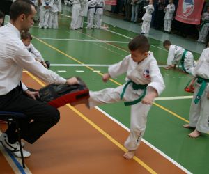 Mistrzostwa Wielkopolski Polskiej Federacji Taekwondo