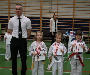 Mistrzostwa Wielkopolski Polskiej Federacji Taekwondo