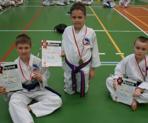 Mistrzostwa Wielkopolski Polskiej Federacji Taekwondo