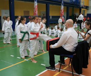 Mistrzostwa Wielkopolski Polskiej Federacji Taekwondo