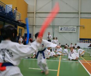 Mistrzostwa Wielkopolski Polskiej Federacji Taekwondo