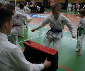 Mistrzostwa Wielkopolski Polskiej Federacji Taekwondo