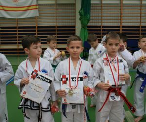 Mistrzostwa Wielkopolski Polskiej Federacji Taekwondo