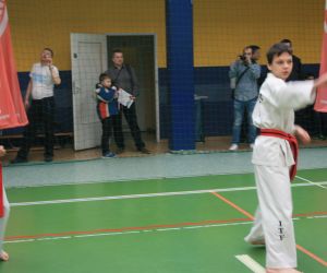 Mistrzostwa Wielkopolski Polskiej Federacji Taekwondo