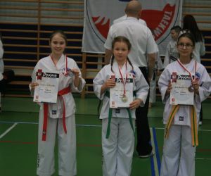 Mistrzostwa Wielkopolski Polskiej Federacji Taekwondo