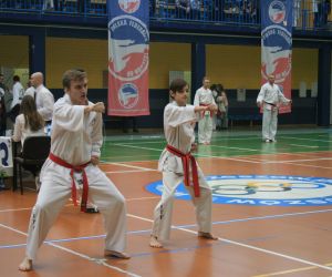 Mistrzostwa Wielkopolski Polskiej Federacji Taekwondo