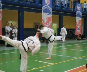 Mistrzostwa Wielkopolski Polskiej Federacji Taekwondo