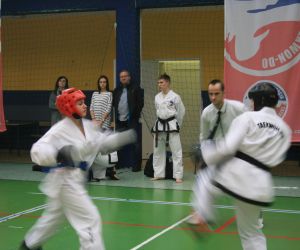 Mistrzostwa Wielkopolski Polskiej Federacji Taekwondo