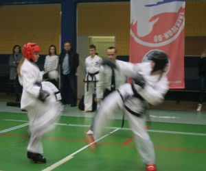 Mistrzostwa Wielkopolski Polskiej Federacji Taekwondo