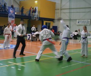 Mistrzostwa Wielkopolski Polskiej Federacji Taekwondo