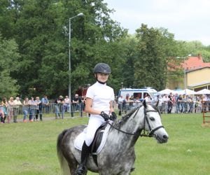 Krajowe Święto Kaczki w Odolanowie