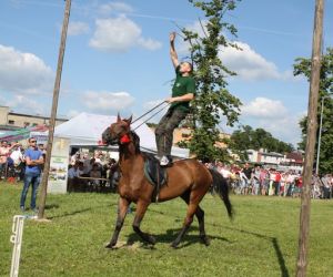 Krajowe Święto Kaczki w Odolanowie