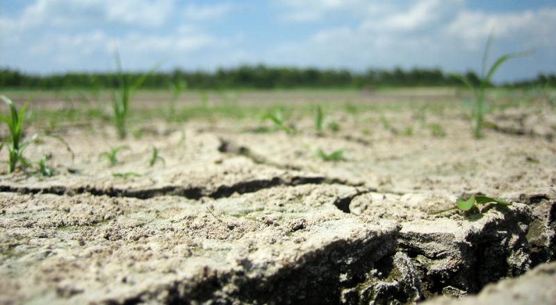 Program pomocy dla gospodarstw rolnych i rybacki dotkniętych suszą i powodzią