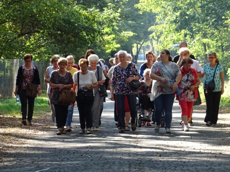 Odolanowski senior, to aktywny senior