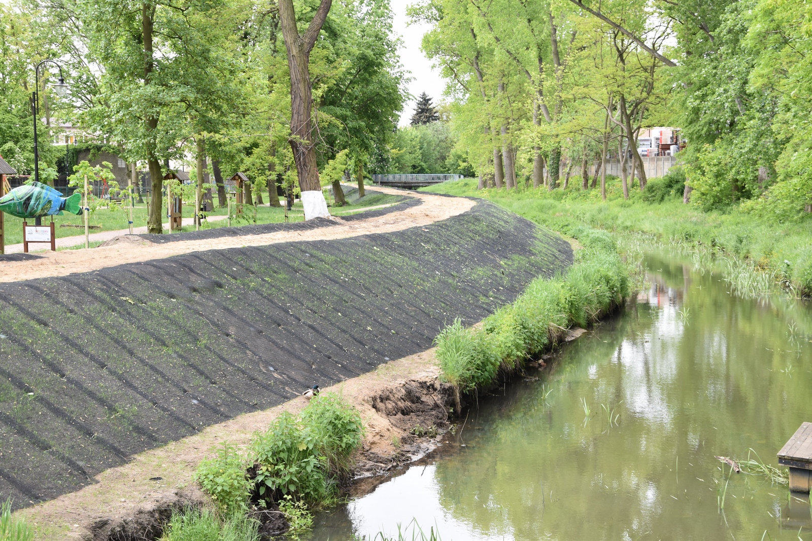 Inwestycje gminne: Trwa przebudowa grobli na rzece Barycz