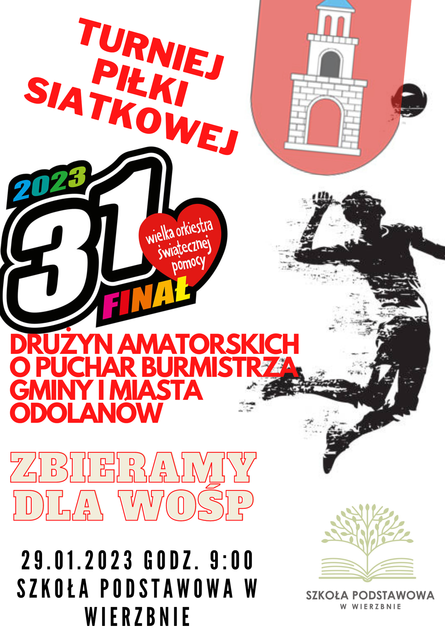 Wesprzyj WOŚP podczas Turnieju Piłki Siatkowej w Wierzbnie